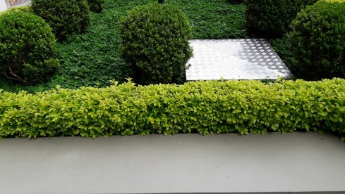 20171101_100710.jpg